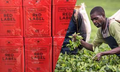 Free Sainsbury's Red Label Tea
