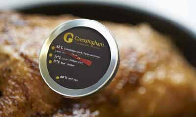 Free Cooking Thermometer