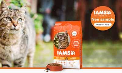 Free IAMS ProActive Health Sample Box for Your Cat