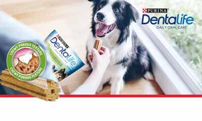 Free Purina Dentalife Dog Chews