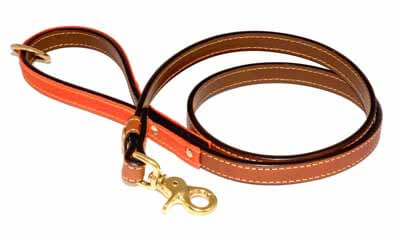 Free Leather Dog lead