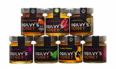 Win Ogilvy's Scottish Honey Bundle