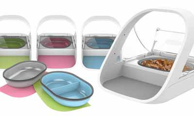 Win a SureFeed Microchip Pet Feeder Worth 99 PLUS