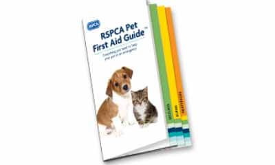 Free Pet First Aid Guide from RSPCA