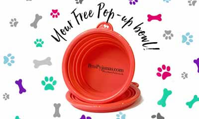 Free Pop-up Dog Feeding Bowl