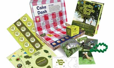 Free Picnic Box
