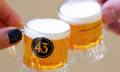 Free Mini Pint Glasses & Bottle of Licor