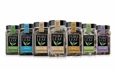 Free Pure Leaf Tea