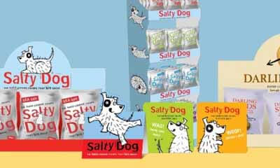 Free Fridge Magnets and Window Stickers from Salty Dog