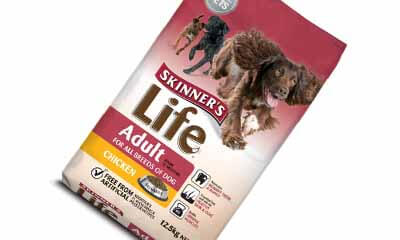 Free Pack of Skinner's Dog Food