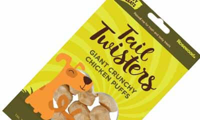 Free Twisters Dog Chew