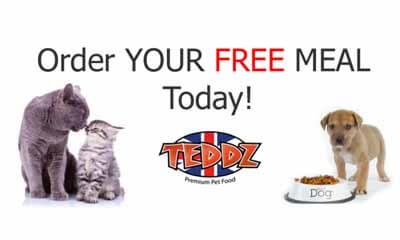 Free Teddz Dog Food Sample