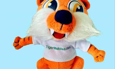 Free Groo Tiger Soft Toy