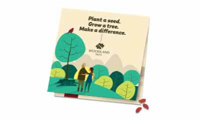 Free Tree Seeds from Woodland Trust