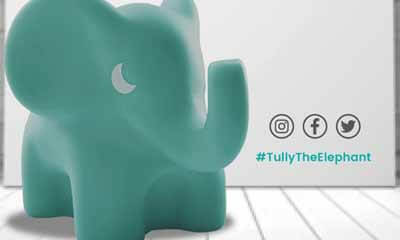 Free Elephant Bath Toy
