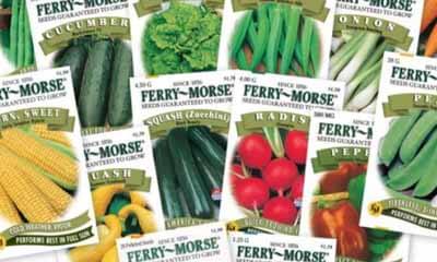 Free Vegetable Seeds from Bakker