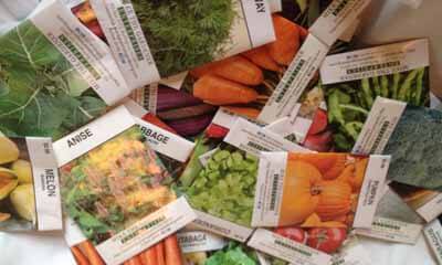 Free Vegetable Seed Pack