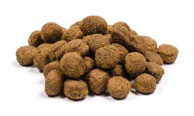 Free Dog Food Samples from Wuffitmix