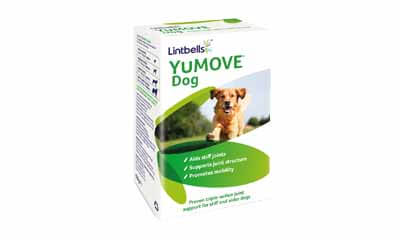 Free Youmove Dog Joint Supplement