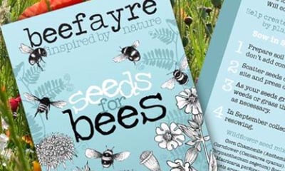 Free Wildflower Seeds