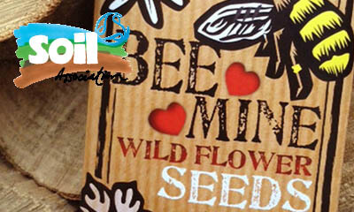 Free Wildflower Seeds from The Soil Association