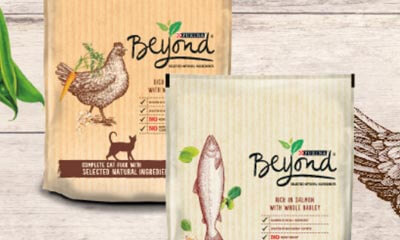 Free Beyond Adult Cat Food