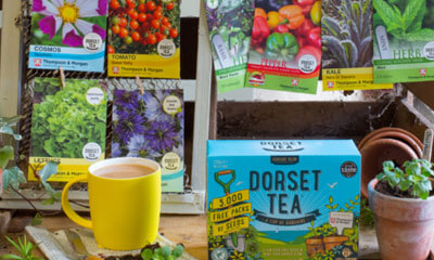 Free Thompson & Morgan Seeds from Dorset Tea