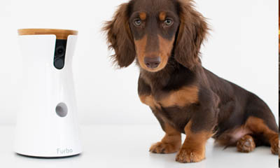 Win A Furbo Treat Tossing Pet Camera