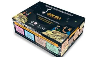 Free Grow Wild Mushroom Grow Kit