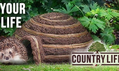 Free Hedgehog Houses