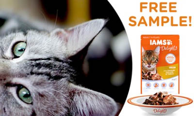 Free Sample of IAMS Delights Cat Food