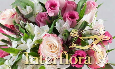Free Bouquet of Flowers from Interflora