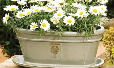 Free RHS apta Plant Pots