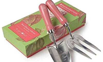 Free RHS Hand Trowel and Fork Sets