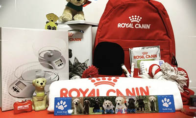 Royal Canin