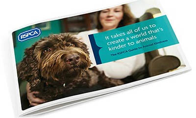 Free Animal Kindness Guide Book