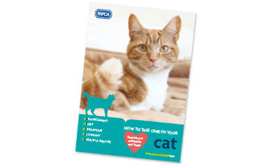 Free Cat Care Guide Book from RSPCA