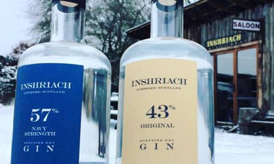 Free Bottles of Scottish Gin