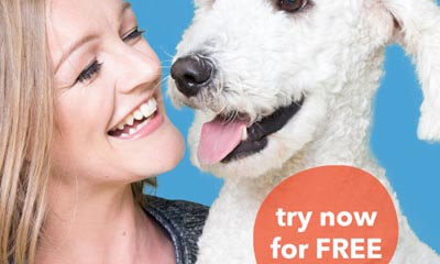 Free Two Week Supply of Dog Food