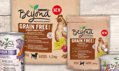 Free Beyond Grain Free Dog & Cat Food