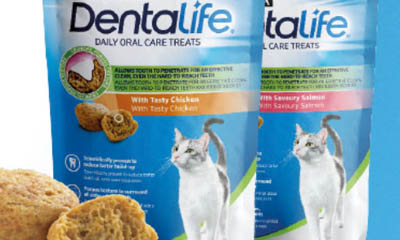 Free Dentalife Oral Cat Treats