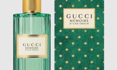 gucci memoire debenhams