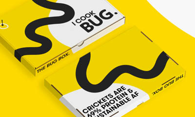 Free Insect Cook Box