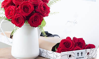 Free Letterbox Roses