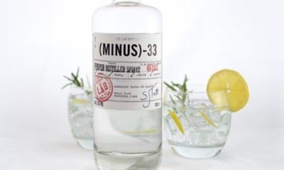 Free Bottle of Minus 33 Gin