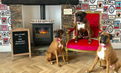 Win a Weekend Stay for your Pooch