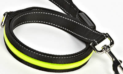 Free Reflective Dog Leads