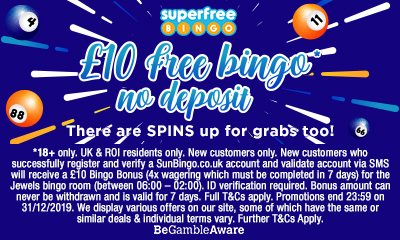 £10 Free Bingo To Play Now!