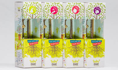 Free Fruit Trees