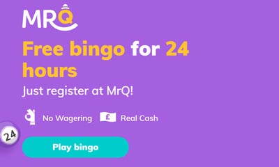Mr Q Bingo